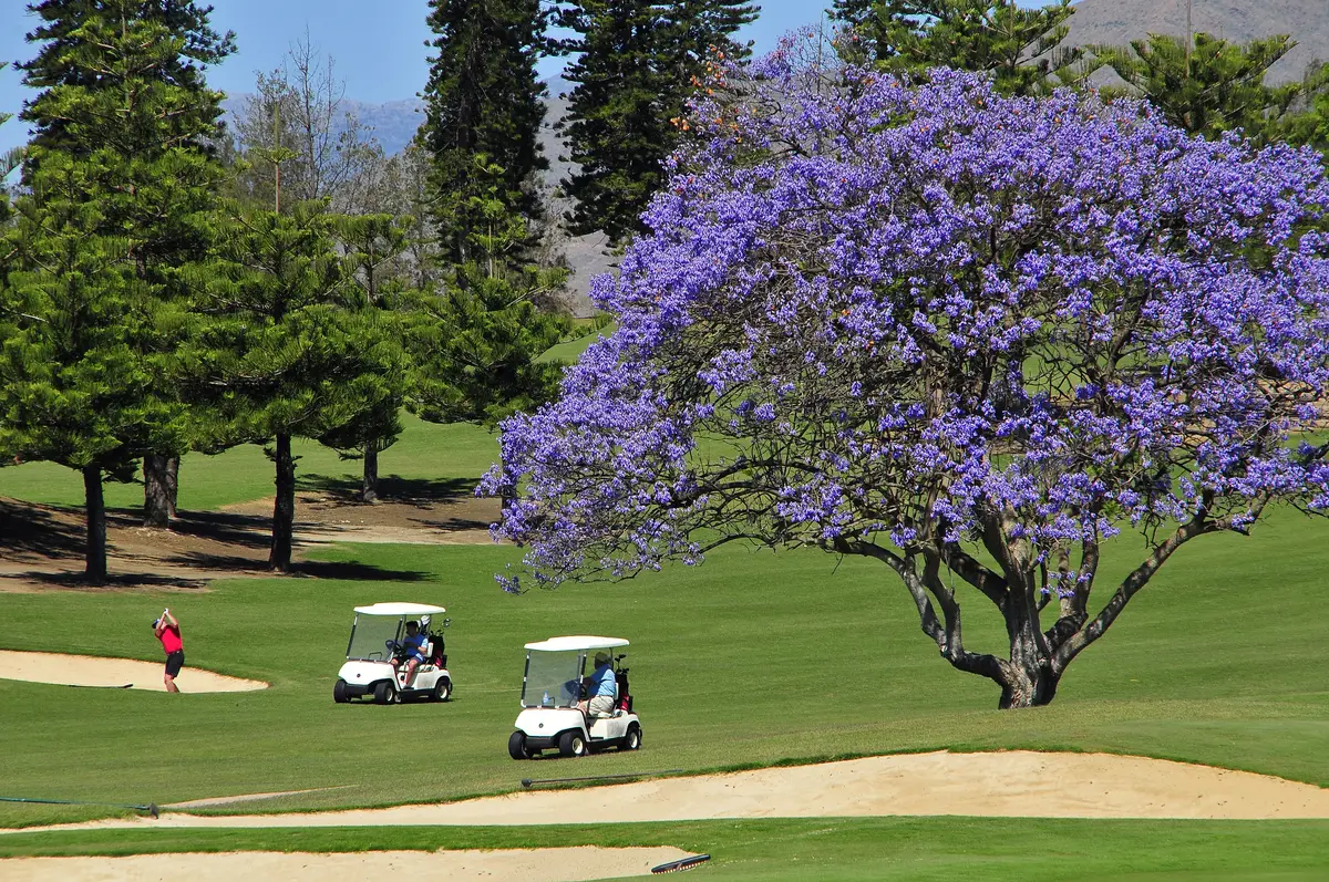 Golfbana i Mijas, Costa del Sol