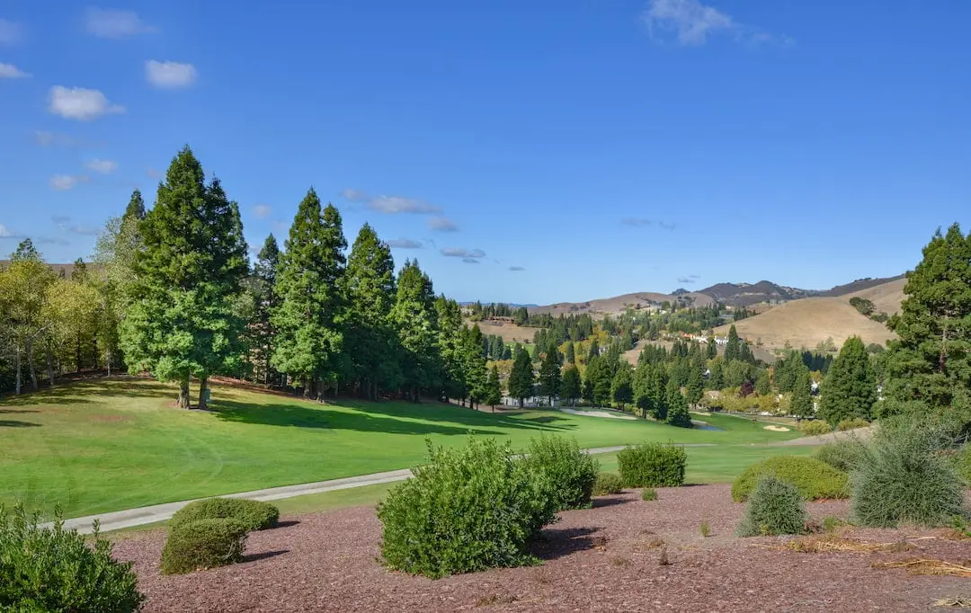 Golftermer för nybörjare illustration